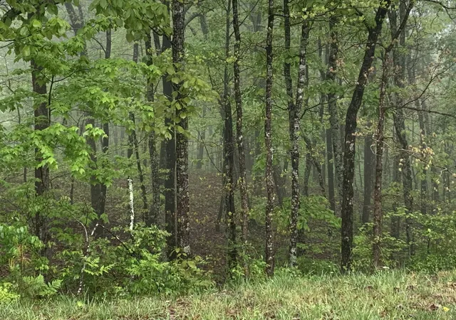 1st image of 225 Prospectors Way, Jasper, TN 37347 | MLS# 2714487