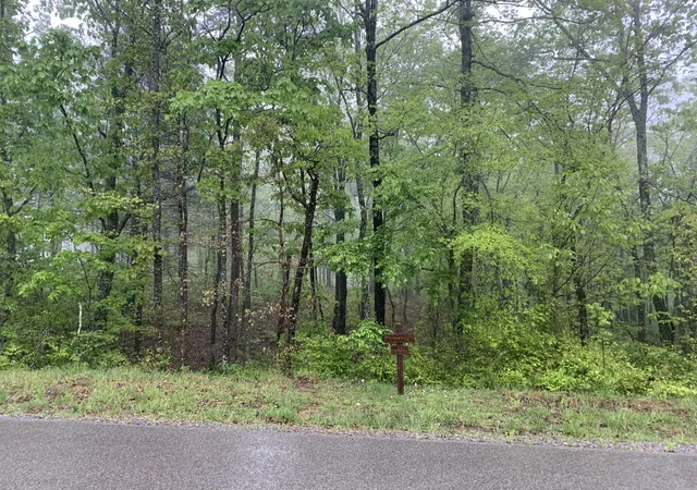 5th image of 225 Prospectors Way, Jasper, TN 37347 | MLS# 2714487