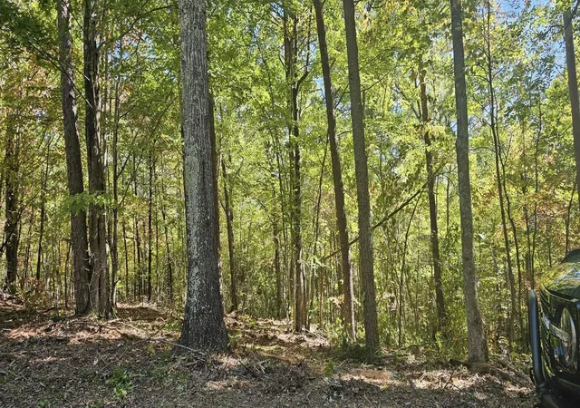 Homes for sale in Tellico Plains, TN | 208 Old Furnace Road, Tellico Plains, TN 37385 | MLS# 3214718