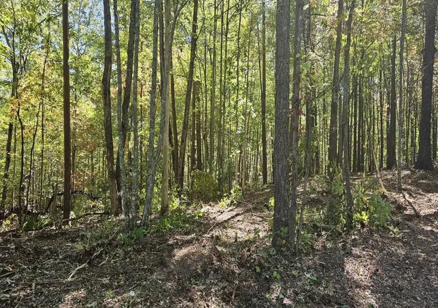 Homes for sale in Tellico Plains, TN | 208 Old Furnace Road, Tellico Plains, TN 37385 | MLS# 3214718