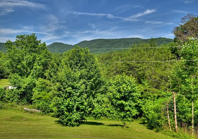 2nd image of 3892 Hwy 68, Turtletown, TN 37391 | MLS# 3337164