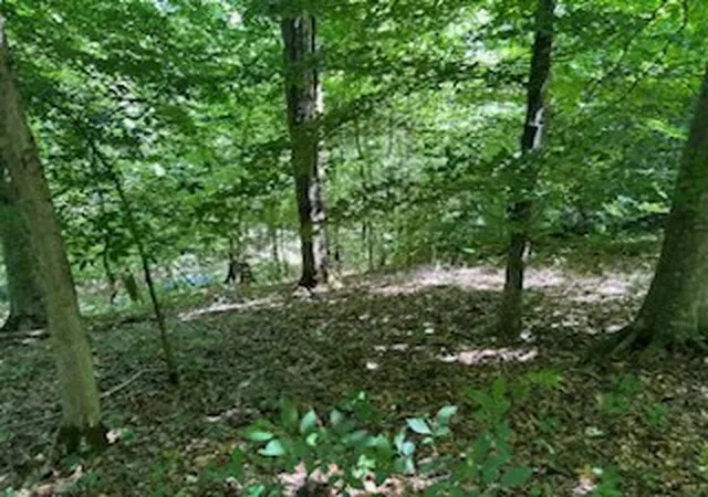 Homes for sale in Frankewing, TN | 0 Hwy 64 E Frankewing Tn 38459, Frankewing, TN 38459 | MLS# 2750406