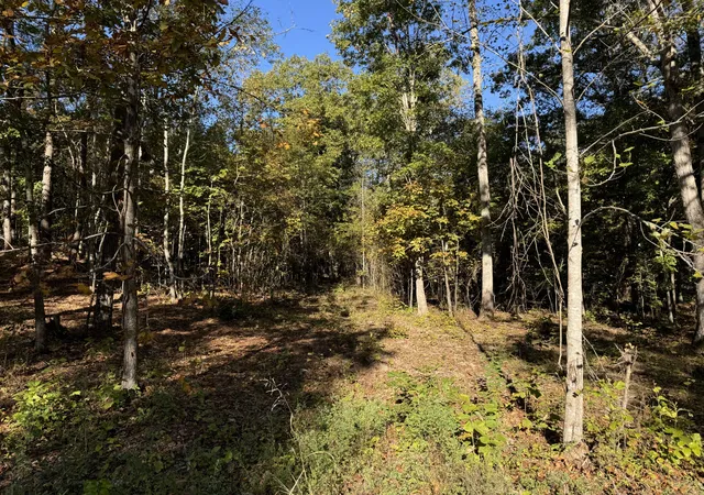 2nd image of 140 Topsy Road, Hohenwald, TN 38462 | MLS# 2750337