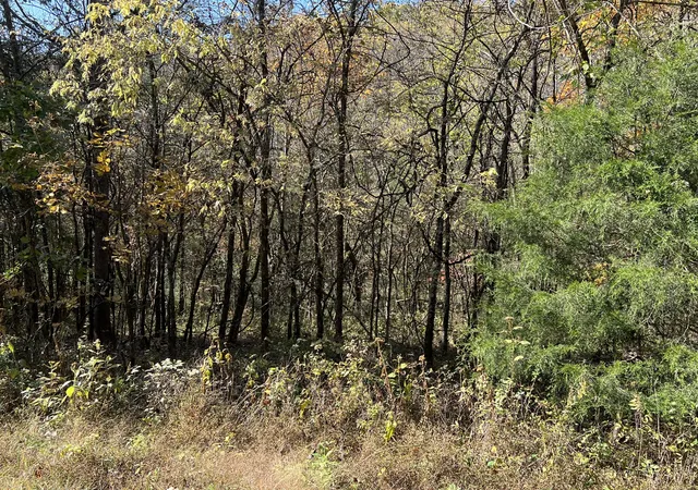 Photo 3 of Land for sale at 0 Reece Holw Rd, Carthage, TN 37030 | MLS# 2752906 | Listing updated on 2026-06-30