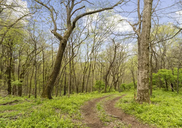 3rd image of 0 Vaughn Rd, Franklin, TN 37069 | MLS# 2753741