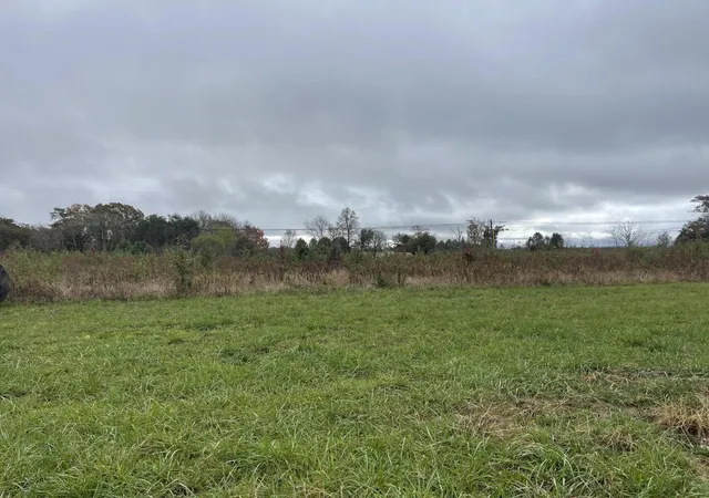 4th image of 1 Watson Loop, Pikeville, TN 37367 | MLS# 2794504