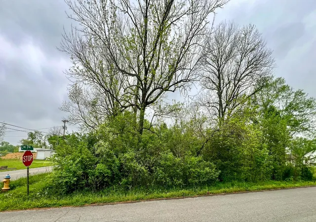 4th image of 0 Lone Pine Dr, Lebanon, TN 37087 | MLS# 2755484