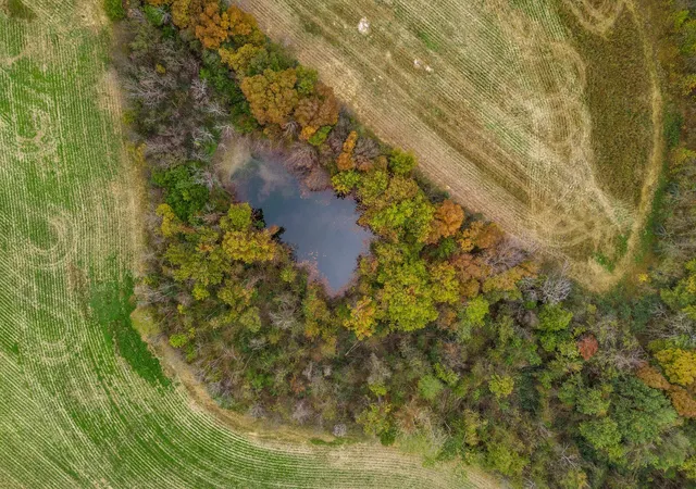 5th image of 0 Threet Rd, Christiana, TN 37037 | MLS# 2756110
