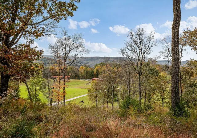 22nd image of 463 Stephens Lane, Livingston, TN 38570 | MLS# 2758342