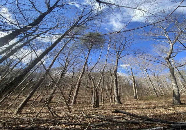 Photo 3 of Land for sale at 0 Bluff View Dr, Dunlap, TN 37327 | MLS# 2918011 | Listing updated on 2025-10-27