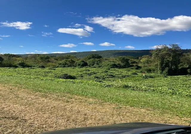 4th image of 0 Rhea County Hwy / Hwy 27, Spring City, TN 37381 | MLS# 2784061