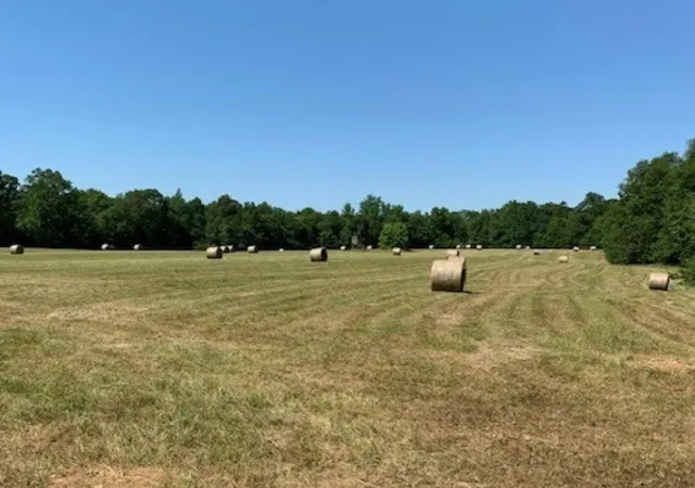 Photo 3 of Land for sale at 2642 Brodies Landing Rd, Parsons, TN 38363 | MLS# 2763356 | Listing updated on 2026-05-14