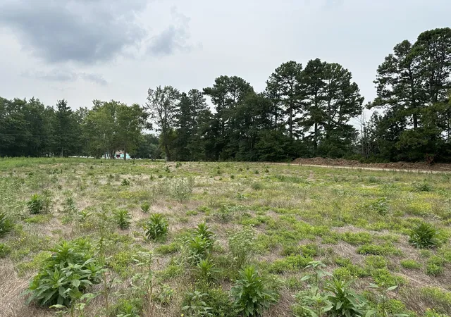 Photo 3 of Land for sale at 0 Clarksville Pike, Joelton, TN 37080 | MLS# 2777775 | Listing updated on 2026-01-14