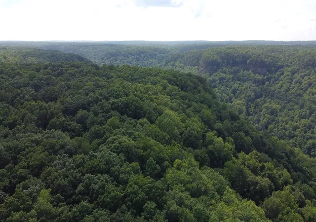 Homes for sale in Coalmont, TN | 916 North Rim Dr, Coalmont, TN 37313 | MLS# 2970675