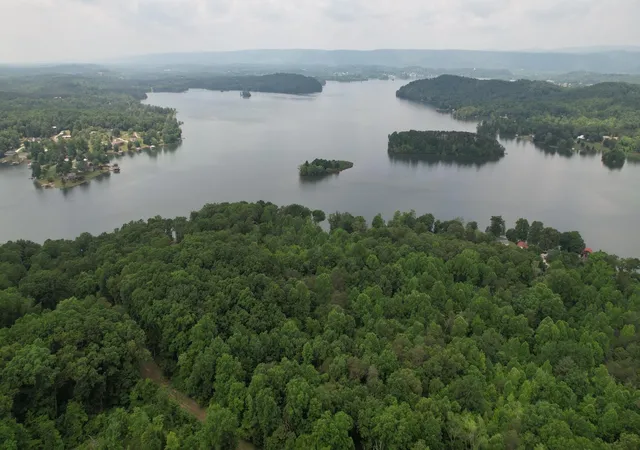 Photo 3 of Land for sale at 0 Cypress Dr, Spring City, TN 37381 | MLS# 3185744 | Listing updated on 2026-08-13