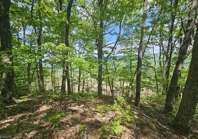 Homes for sale in Altamont, TN | 15 Higgenbotham Turnpike, Altamont, TN 37301 | MLS# 2767756