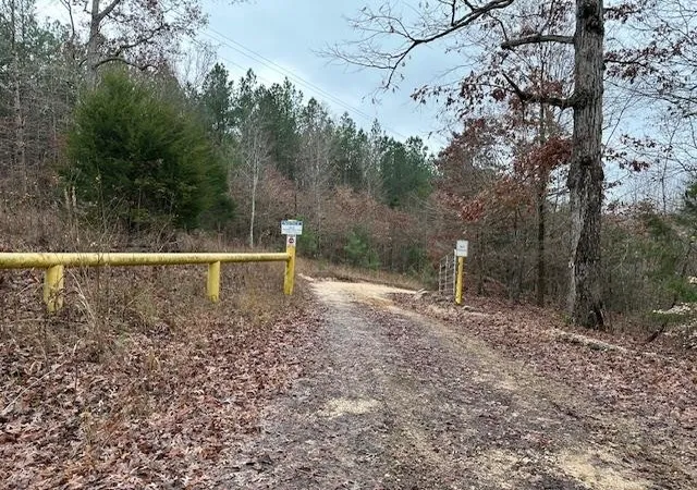 Photo 1 of Land for sale at 0 Sawyers Ml Rd, Camden, TN 38320 | MLS# 2768079 | Listing updated on 2026-08-13