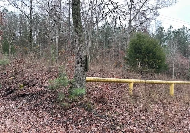 Photo 2 of Land for sale at 0 Sawyers Ml Rd, Camden, TN 38320 | MLS# 2768079 | Listing updated on 2026-08-13