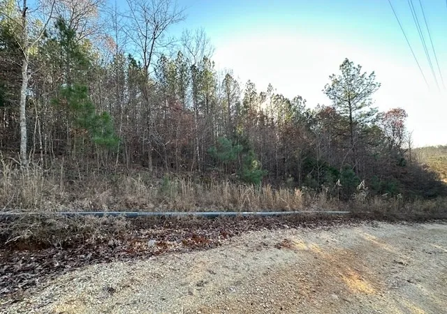 Photo 3 of Land for sale at 0 Sawyers Ml Rd, Camden, TN 38320 | MLS# 2768079 | Listing updated on 2026-08-13