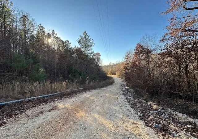 Photo 4 of Land for sale at 0 Sawyers Ml Rd, Camden, TN 38320 | MLS# 2768079 | Listing updated on 2026-08-13