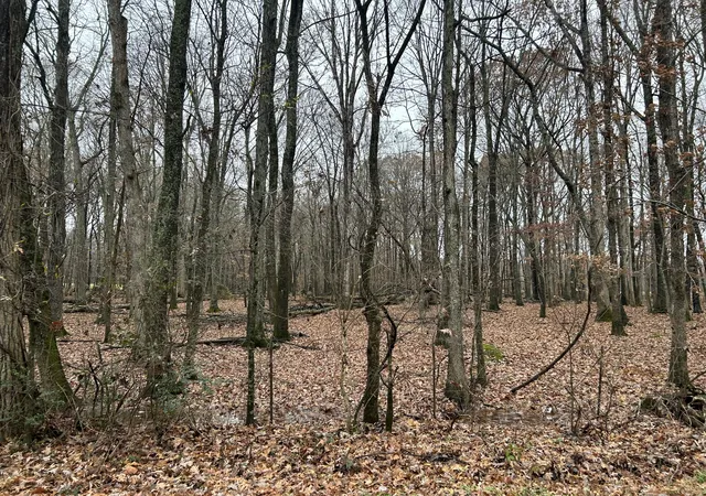 1st image of 4002 Baggett Rd, Springfield, TN 37172 | MLS# 2769705