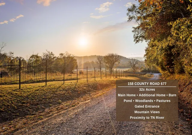 Photo 2 of Single family home for sale at 158 County Road 677, Bryant, AL 35958 | MLS# 2771591 | Listing updated on 2025-12-04