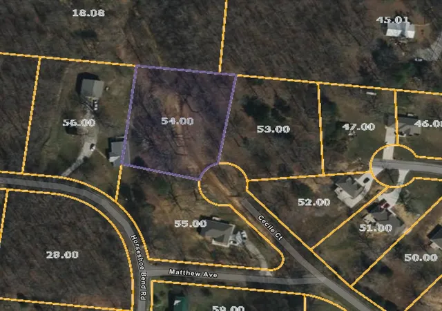 Homes for sale in Lawrenceburg, TN | 0 Cecile Ct, Lawrenceburg, TN 38464 | MLS# 2772185