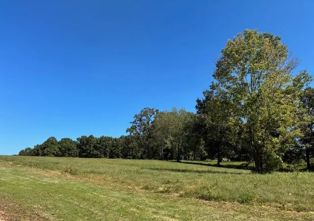 3rd image of 0 Hunziker Lane, Fairview, TN 37062 | MLS# 2785104