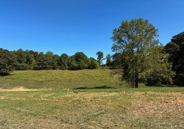 4th image of 0 Hunziker Lane, Fairview, TN 37062 | MLS# 2785104