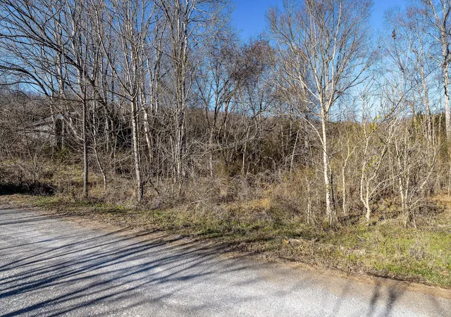 3rd image of 0 Genes Rd, Sparta, TN 38583 | MLS# 2777017