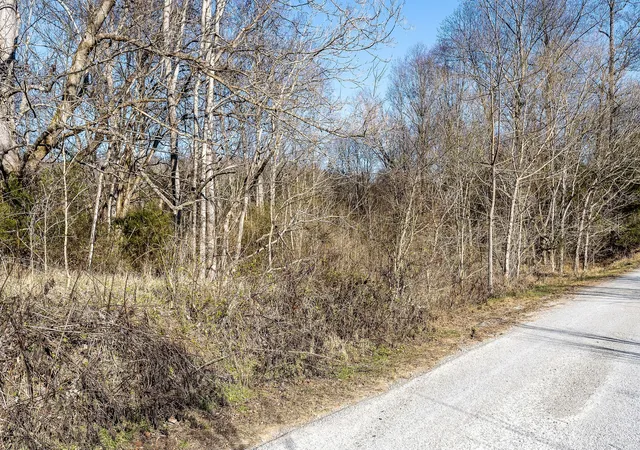 4th image of 0 Genes Rd, Sparta, TN 38583 | MLS# 2777017