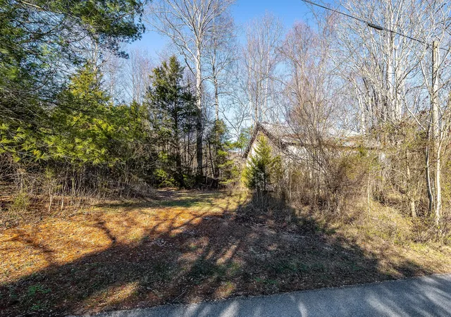 5th image of 0 Genes Rd, Sparta, TN 38583 | MLS# 2777017