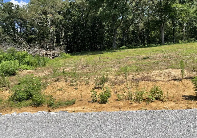 Photo 1 of Land for sale at 0 Hidden Hills Lane, Summertown, TN 38483 | MLS# 2777184 | Listing updated on 2026-01-07