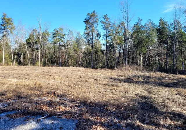 Homes for sale in Wartrace, TN | 0 Arnold Lane, Wartrace, TN 37183 | MLS# 2777282