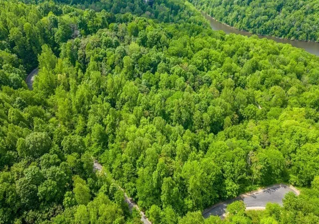 Photo 5 of Land for sale at 66 Maury Ln, Mc Minnville, TN 37110 | MLS# 2777985 | Listing updated on 2025-01-14
