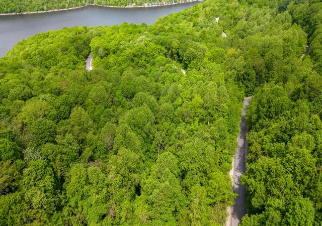 Photo 2 of Land for sale at 59 Maury Ln, Mc Minnville, TN 37110 | MLS# 2777995 | Listing updated on 2025-01-14