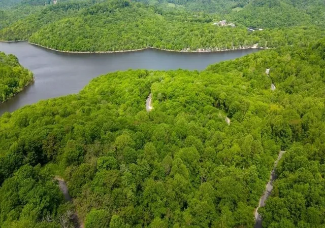 Photo 5 of Land for sale at 59 Maury Ln, Mc Minnville, TN 37110 | MLS# 2777995 | Listing updated on 2025-01-14