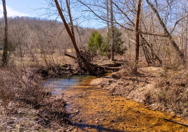 2nd image of 134 Cane Creek Rd, Hohenwald, TN 38462 | MLS# 2797258