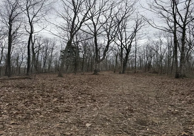 Photo 3 of Land for sale at 0 Bear Creek Lot 53 Rd, Waverly, TN 37185 | MLS# 2780249 | Listing updated on 2026-09-04