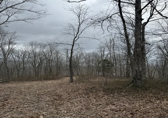 Photo 3 of Land for sale at 0 Bear Creek Lot 53 Rd, Waverly, TN 37185 | MLS# 2780249 | Listing updated on 2026-09-04