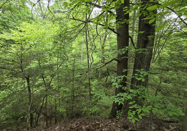 4th image of 117 Fox Run Ct, Monterey, TN 38574 | MLS# 2781197