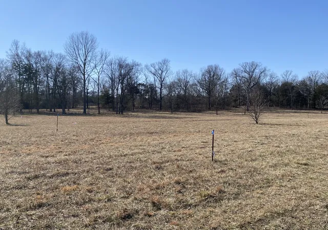 Homes for sale in Bell Buckle, TN | 11239 Karo Rd, Bell Buckle, TN 37020 | MLS# 2784830