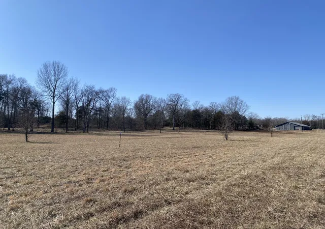 Homes for sale in Bell Buckle, TN | 11239 Karo Rd, Bell Buckle, TN 37020 | MLS# 2784830