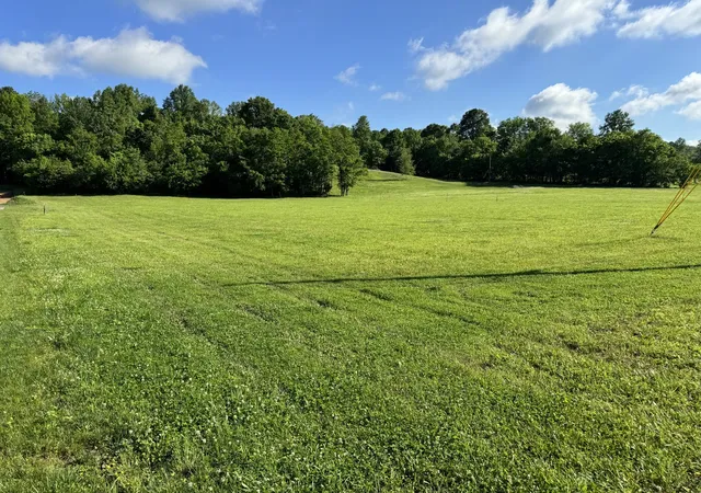Homes for sale in Watertown, TN | 5946 Greenvale Rd, Watertown, TN 37184 | MLS# 2786085