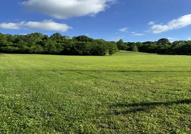 Homes for sale in Watertown, TN | 5946 Greenvale Rd, Watertown, TN 37184 | MLS# 2786085