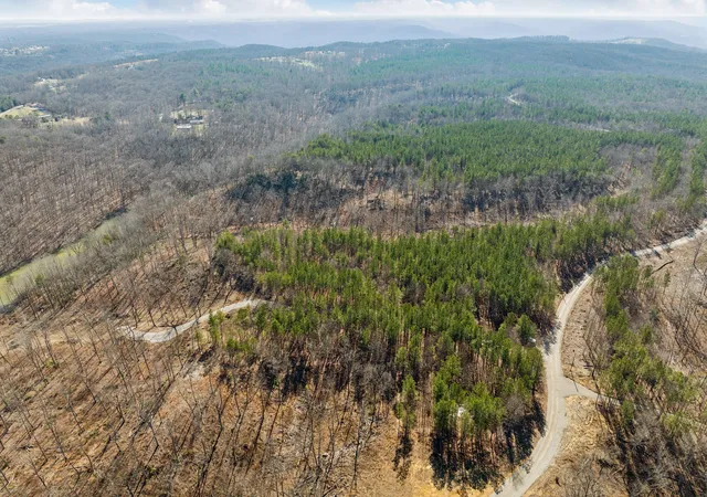 3rd image of 0 Spokley Road, Spencer, TN 38585 | MLS# 2794946