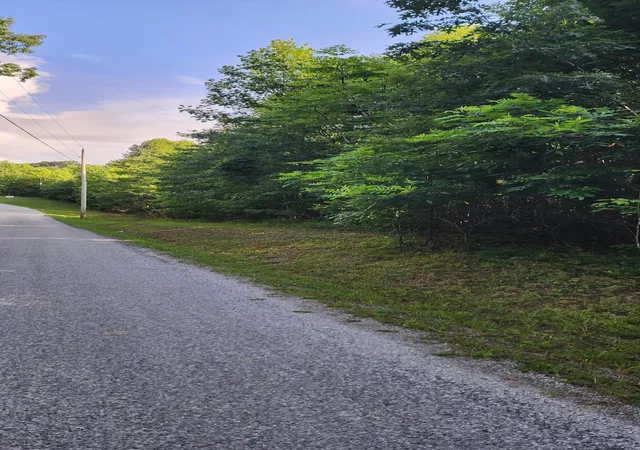 Homes for sale in Monteagle, TN | 0 Tootley Campbell Rd, Monteagle, TN 37356 | MLS# 2787390