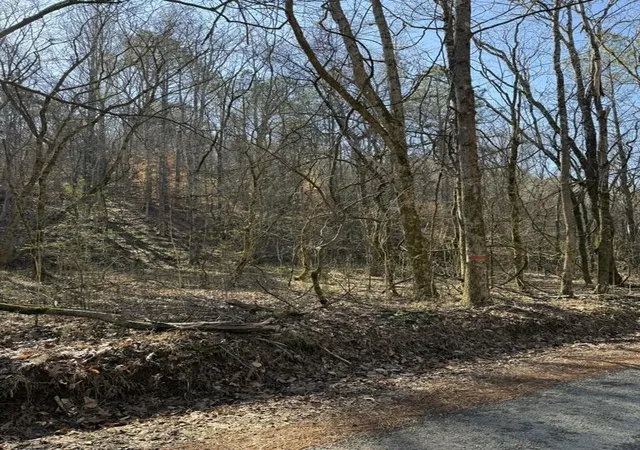 2nd image of 0 Wilson Hollow Road, Athens, TN 37303 | MLS# 2994512