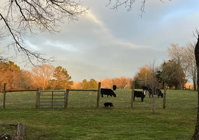 1st image of 192 Mcclanahan Rd, Only, TN 37140 | MLS# 2789638