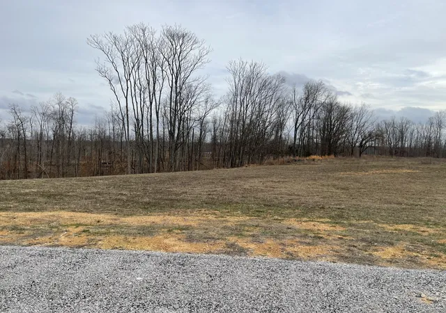 Photo 3 of Land for sale at 44 Ridgeway Ave, Smithville, TN 37166 | MLS# 2790055 | Listing updated on 2026-09-06
